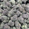 Purple Zooties
